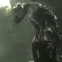 Thumbnail Image - The Last Guardian will be a TGS No-Show